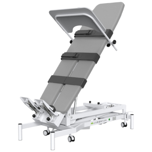 Electric Standing Bed RLRF201